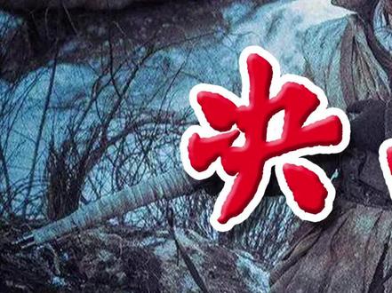 Decisive Battle 38-degree Line (The release time of Decisive Battle 38-degree Line in China)